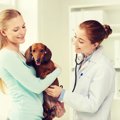 犬がゼーゼーと呼吸…