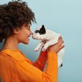 『体臭がキツイ犬種…