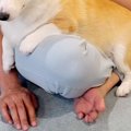 雷が鳴り響く日、怖…