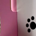 赤ちゃん犬を飼った…