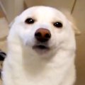 『間違ってなかった…