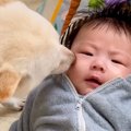 赤ちゃんだった男の…
