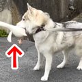 外まで『お気に入り…