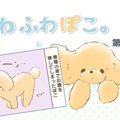 ふわふわぽこ。【第1…