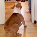 『お母さんの外出を…