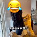 犬が苦手な友人に『…