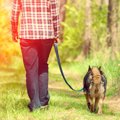 犬に散歩が必要な理…