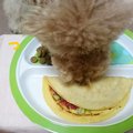 「大変そうだけど…」…