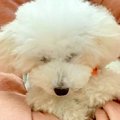 不安からいつも座っ…