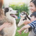 犬から人間にうつる…