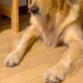 朝、部活で学校へ向…