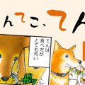 てんてこ、てん。【…