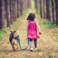 犬の散歩を子供に行…