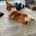 「行かないで～！」…