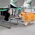 職場で会議をしてい…