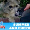 人を信頼して子犬を…