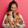 犬は『足音』で飼い…