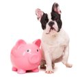 犬の生涯に必要な費…