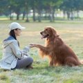 犬が『おて』をして…