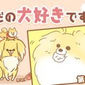 ただの犬好きです。…