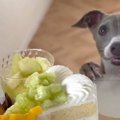 おめめキラキラ☆ヌッ…