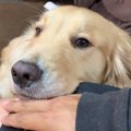 私を見て！映画鑑賞…