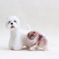 犬の『抜け毛』は再…