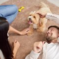 犬を飼う前に知って…
