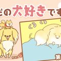 ただの犬好きです。…