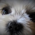涙の被災地の真実！…
