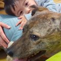 小さな男の子が『雷…