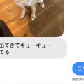 犬にご飯をあげて、…