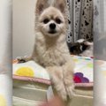 『どう考えてもわし…