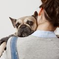 犬が『精神的に弱っ…