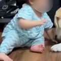赤ちゃんが『自分よ…