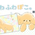 ふわふわぽこ。【第1…