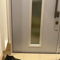 深夜2時『犬の姿が見…