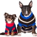 冬は犬に洋服を着せ…