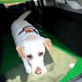 楽しいお出掛け先が…