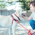 犬に絶対してはいけ…