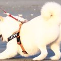 今季一番の冷え込み…