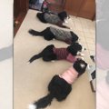誰を待っているのか…