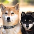 ネガティブなイメー…