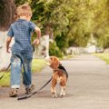 犬がお尻を振りなが…