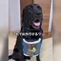 大型犬がぶら下げる…