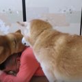 ○○したての頭が好き…
