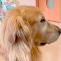 動物病院で自分の順…