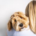 犬を抱っこしてもす…