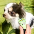 わんちゃんの抜け毛…