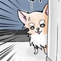 かわうそちわわ。（3…